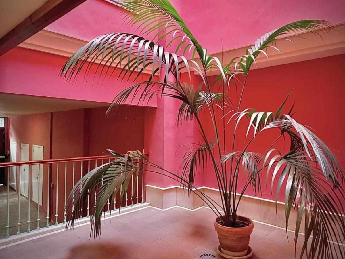 Apartamento Sauceda 7 Seville Ngoại thất bức ảnh
